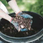 How to Make Organic Fertilizer at Home – Step-by-Step