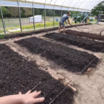 How to Start a No-Dig Garden for Better Soil Health