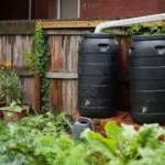 Rainwater Harvesting Tips for Small Backyard Gardens
