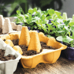 Budget Gardening: Growing Your Own Food for Under $50